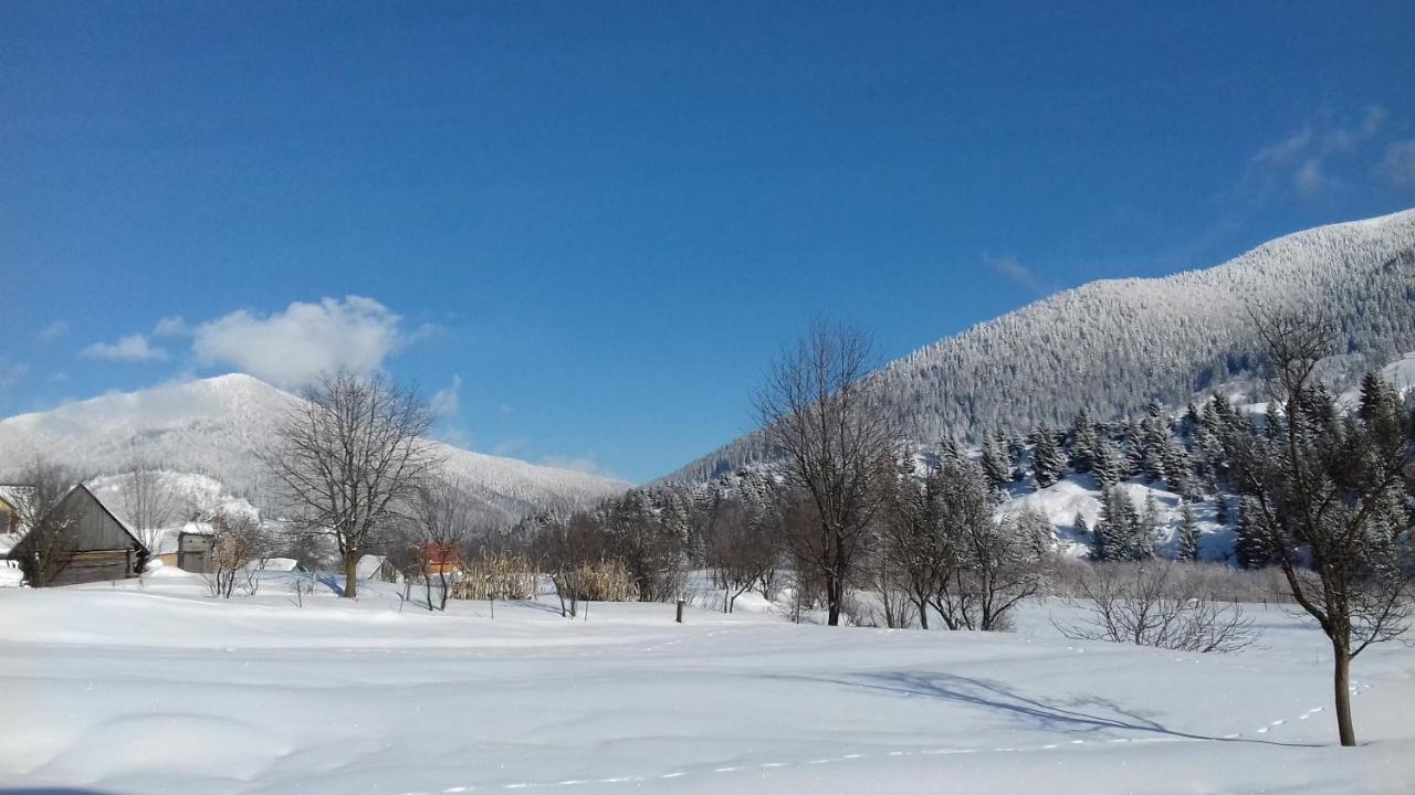 Sadyba U Anastasijky Synewyr Zewnętrze zdjęcie